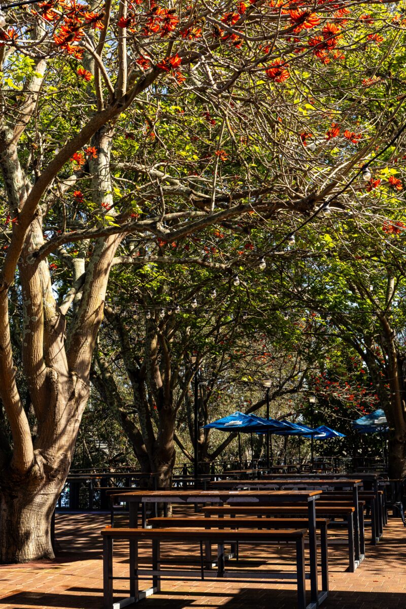 JETS, OUTDOOR LIVE MUSIC EVENTS, RAVENSWOOD HOTEL, AUSTRALIA DAY WEEKEND 2026, BEST LIVE MUSIC VENUE